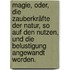 Magie, oder, die Zauberkräfte der Natur, so auf den Nutzen, und die Belustigung angewandt worden.