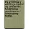 The Dynamics of Wildfire-Generated Dry Convection: Fundamental Processes and Complicating Factors. door Michael Thomas Kiefer
