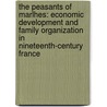 The Peasants of Marlhes: Economic Development and Family Organization in Nineteenth-Century France door James R. Lehning