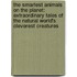 The Smartest Animals on the Planet: Extraordinary Tales of the Natural World's Cleverest Creatures