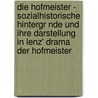 Die Hofmeister - Sozialhistorische Hintergr Nde Und Ihre Darstellung in Lenz' Drama  Der Hofmeister door Stefanie Reichhart