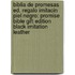 Biblia de Promesas Ed. Regalo Imitacin Piel Negro: Promise Bible Gift Edition Black Imitation Leather