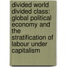 Divided World Divided Class: Global Political Economy and the Stratification of Labour Under Capitalism by Zak Cope