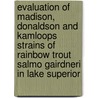 Evaluation of Madison, Donaldson and Kamloops Strains of Rainbow Trout Salmo Gairdneri in Lake Superior by Tracy Close