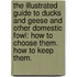 The Illustrated Guide to Ducks and Geese and Other Domestic Fowl: How to Choose Them. How to Keep Them.