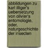Abbildungen Zu Karl Illiger's Uebersetzung Von Olivier's Entomologie, Oder, Naturgeschichte Der Insecten