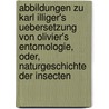 Abbildungen Zu Karl Illiger's Uebersetzung Von Olivier's Entomologie, Oder, Naturgeschichte Der Insecten door Johann Karl Wilhelm Illiger
