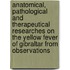 Anatomical, Pathological and Therapeutical Researches on the Yellow Fever of Gibraltar from Observations