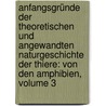 Anfangsgründe Der Theoretischen Und Angewandten Naturgeschichte Der Thiere: Von Den Amphibien, Volume 3 door Georg Adolph Suckow