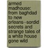 Armed Madhouse: From Baghdad To New Orleans--Sordid Secrets And Strange Tales Of A White House Gone Wild