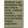 Peabody Coal Company's Big Sky Area B Mine, Rosebud County, Montana; Final Environmental Impact Statement door Montana Dept of State Lands