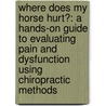 Where Does My Horse Hurt?: A Hands-On Guide to Evaluating Pain and Dysfunction Using Chiropractic Methods door Renee Tucker
