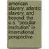 American Slavery, Atlantic Slavery, and Beyond: The U.S. "Peculiar Institution" in International Perspective