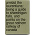 Amidst the Laurentians; Being a Guide to Shawinigan Falls, and Points on the Great Nothern Railway of Canada