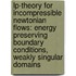 Lp-theory For Incompressible Newtonian Flows: Energy Preserving Boundary Conditions, Weakly Singular Domains