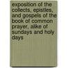 Exposition of the Collects, Epistles, and Gospels of the Book of Common Prayer, Alike of Sundays and Holy Days door James Oliver Bevan