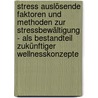 Stress auslösende Faktoren und Methoden zur Stressbewältigung - als Bestandteil zukünftiger Wellnesskonzepte door Annekatrin Helm