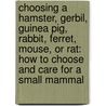 Choosing a Hamster, Gerbil, Guinea Pig, Rabbit, Ferret, Mouse, or Rat: How to Choose and Care for a Small Mammal by Laura S. Jeffrey
