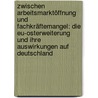 Zwischen Arbeitsmarktöffnung Und Fachkräftemangel: Die Eu-osterweiterung Und Ihre Auswirkungen Auf Deutschland door Frank Riemer