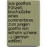 Aus Goethes Frühzeit: Bruchstücke Eines Commentares Zum Jungen Goethe Von Wilhelm Scherer. --) (German Edition)