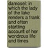 Damosel: In Which the Lady of the Lake Renders a Frank and Often Startling Account of Her Wondrous Life and Times