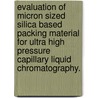 Evaluation of Micron Sized Silica Based Packing Material for Ultra High Pressure Capillary Liquid Chromatography. by Rachel A. Lieberman