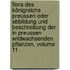 Flora Des Königreichs Preussen Oder Abbildung Und Beschreibung Der In Preussen Wildwachsenden Pflanzen, Volume 11