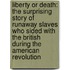 Liberty or Death: The Surprising Story of Runaway Slaves Who Sided with the British During the American Revolution