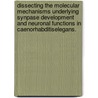 Dissecting the Molecular Mechanisms Underlying Synpase Development and Neuronal Functions in Caenorhabditiselegans. by Shuo Luo