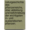 Naturgeschichte des Pflanzenreichs, ober Abbildung und Befchreiburg der wichtigsten in- und auslandischen Pflanzen. by A.B. Reichenbach