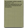 Die Meningitis cerebro-spinalis epidemica : vom historisch-geographischen und pathologisch-therapeutischen Standpunkte door Arthur Hirsch