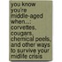 You Know You'Re Middle-Aged When...: Corvettes, Cougars, Chemical Peels, And Other Ways To Survive Your Midlife Crisis