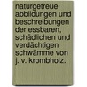 Naturgetreue Abblidungen und Beschreibungen der essbaren, schädlichen und verdächtigen Schwämme von J. V. Krombholz. door Krombholz V.