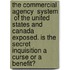 The Commercial Agency  System  of the United States and Canada Exposed. Is the Secret Inquisition a Curse or a Benefit?
