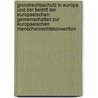 Grundrechtsschutz in Europa Und Der Beitritt Der Europaeischen Gemeinschaften Zur Europaeischen Menschenrechtskonvention by Kyra Strasser