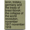 Lenin, Trotsky, Germany and the Treaty of Brest-Litovsk: The Collapse of the World Revolution, November 1917-November 1918 door Yuri Felshtinsky