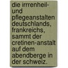 Die Irrrenheil- und Pflegeanstalten Deutschlands, Frankreichs, sammt der Cretinen-Anstalt auf dem Abendberge in der Schweiz. door Mich.V. Viszanik