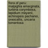 Flora Of Peru: Malpighia Emarginata, Turbina Corymbosa, Lepidium Meyenii, Echinopsis Pachanoi, Oreocallis, Uncaria Tomentosa door Source Wikipedia