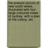 The present Picture of New South Wales, illustrated with four large coloured views of Sydney, with a plan of the Colony, etc. door D.D. Mann
