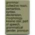 Grammar: Collective Noun, Semantics, Syntax, Declension, Morphology, Kleene Star, Part Of Speech, Grammatical Gender, Pronoun