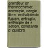 Grandeur En Thermochimie: Enthalpie, Nergie Libre, Enthalpie de Fusion, Entropie, Enthalpie de R Action, Constante D' Quilibre