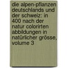 Die Alpen-Pflanzen Deutschlands Und Der Schweiz: In 400 Nach Der Natur Colorirten Abbildungen in Natürlicher Grösse, Volume 3 by Unknown