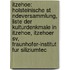 Itzehoe: Holsteinische St Ndeversammlung, Liste Der Kulturdenkmale In Itzehoe, Itzehoer Sv, Fraunhofer-Institut Fur Siliziumtec