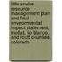 Little Snake Resource Management Plan and Final Environmental Impact Statement; Moffat, Rio Blanco, and Routt Counties, Colorado