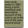 New South Wales in 1881: being a brief statistical and descriptive account of the Colony up to the end of the year. Second issue door Thomas Richards