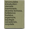 Ranunculales Introduction: Clematis Marmoraria, Dicentra Formosa, Helleborus Foetidus, Argemone, Aquilegia Canadensis, Corydalis door Source Wikipedia