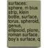 Surfaces: Sphere, M Bius Strip, Klein Bottle, Surface, Torus, Spheroid, Genus, Ellipsoid, Plane, Roman Surface, Boy's Surface, Q