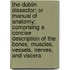 The Dublin Dissector; or Manual of Anatomy; Comprising a Concise Description of the Bones, Muscles, Vessels, Nerves, and Viscera
