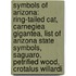 Symbols of Arizona: Ring-Tailed Cat, Carnegiea Gigantea, List of Arizona State Symbols, Saguaro, Petrified Wood, Crotalus Willardi