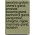 Exocrine System: Skene's Gland, Prostate, Exocrine Gland, Bartholin's Gland, Perspiration, Smegma, Nipple, Mammary Gland, Lactation